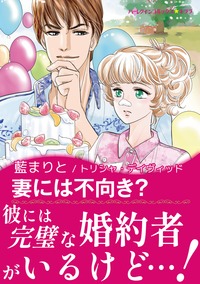 妻には不向き？【あとがき付き】